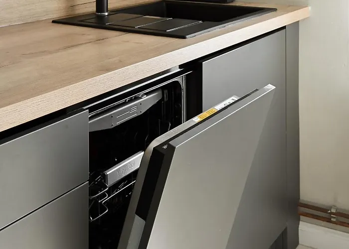 Modern In Historical Building With Car Parking! * 里加